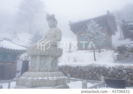 Gangwon Province, Korea, Taebaeksan 43706832