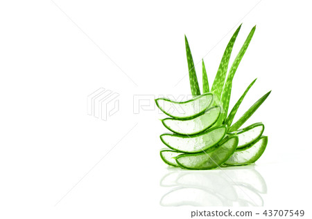 Slice Aloe Vera on white background. 43707549