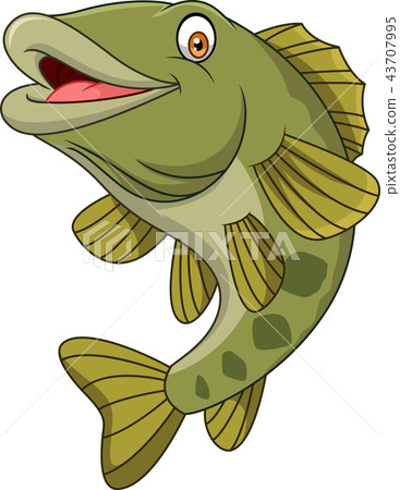 Cartoon bass fish isolated on white background 43707995
