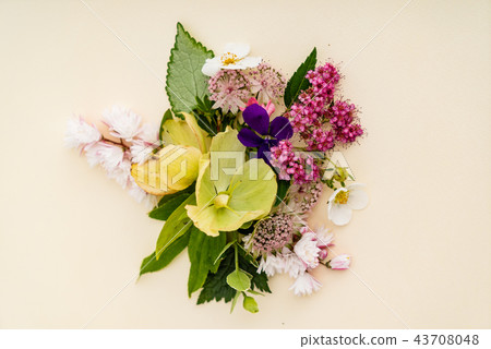 nice summer flowers nice summer flowers 43708048