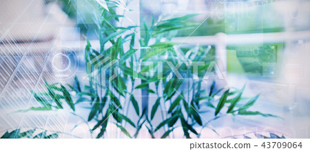 Composite image of composite image of blue technology design with binary code Composite image of composite image of blue technology design with binary code 43709064