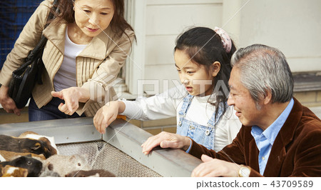 在遊樂園裡玩的家庭 在遊樂園裡玩的家庭 43709589