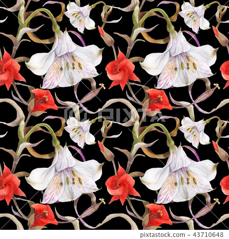 Watercolor pattern by alstroemeria calochortus 43710648