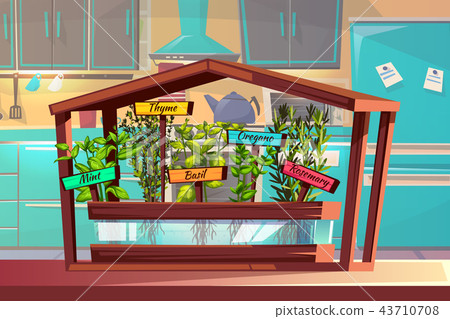 Kitchen garden spices or herbs vector illustration Kitchen garden spices or herbs vector illustration 43710708