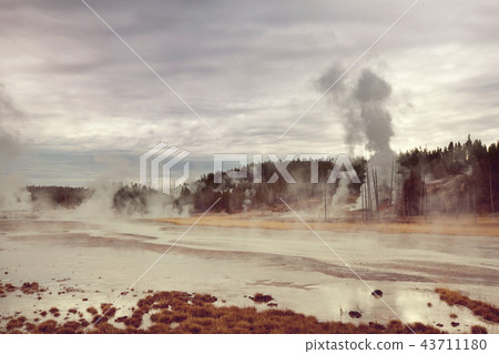 Yellowstone 43711180