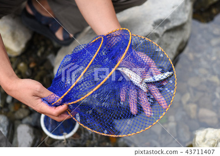 Small fish fishing 43711407