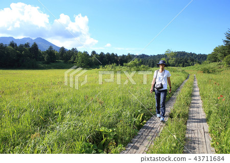 Parent and child hiking 43711684