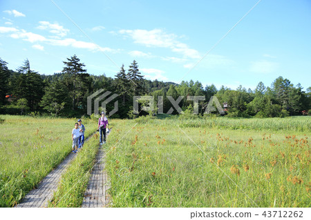 Parent and child hiking Parent and child hiking 43712262