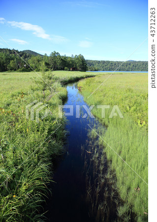 Japanese nature Japanese nature 43712263