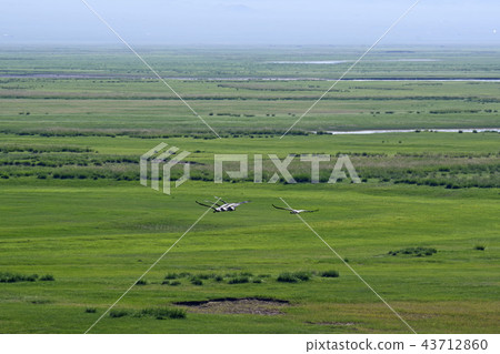 Anehal flying in the steppes of Mongolia 43712860