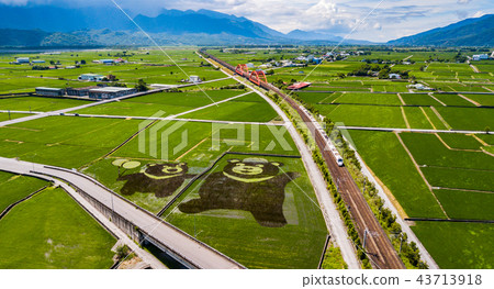 【台灣花蓮玉里火車風光Asia Taiwan Hualien scenery】 43713918