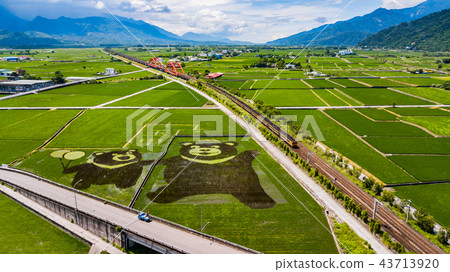 【台灣花蓮玉里火車風光Asia Taiwan Hualien scenery】 43713920