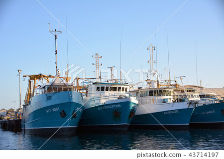 Boats anchored at the harbor Australia West Coast Fremantle Boats anchored at the harbor Australia West Coast Fremantle 43714197