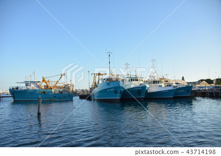 Water blue and white cute ships Australia West Coast Fremantle 43714198