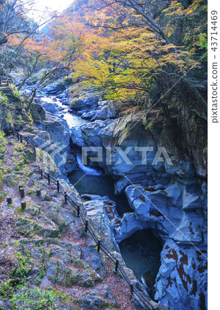 Autumn leaves of earth pot 43714469