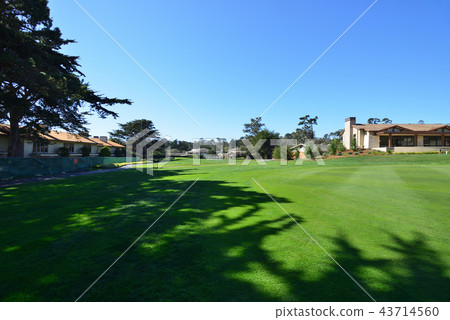 America Pebble Beach 43714560