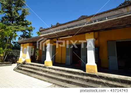 Vietnamese Kaedin 43714743