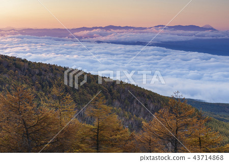 Dawn of the sea of clouds and mountains from Takamine plateau 43714868