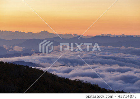 Morning sky and sea of clouds 43714873