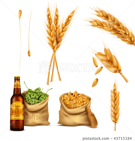 set realistic icons, concept of brewing 43715184