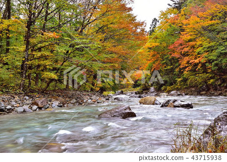 Kinomatagawa Kinomatagawa 43715938