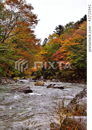 Kinomatagawa Kinomatagawa 43715941