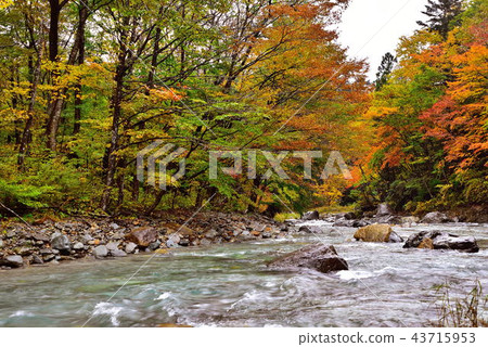 Kinomatagawa Kinomatagawa 43715953