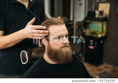 Master cuts hair and beard of men in the barbershop, hairdresser makes hairstyle for a young man Master cuts hair and beard of men in the barbershop, hairdresser makes hairstyle for a young man 43716350