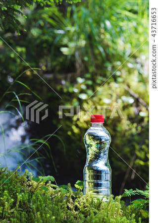 Transparent plastic A bottle of clean water with a red lid stands in the grass and moss on the Transparent plastic A bottle of clean water with a red lid stands in the grass and moss on the 43716653