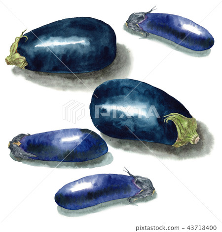 模擬水彩茄子和水稻茄子套裝 43718400