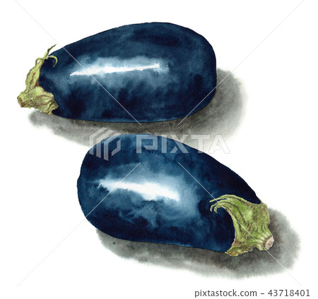 粽子畫水彩 43718401