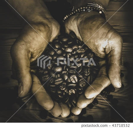 How about beans? 43718532