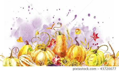 Pumpkins composition. Hand drawn watercolor painting on white background. Watercolor illustration 43720077