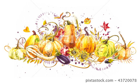 Pumpkins composition. Hand drawn watercolor painting on white background. Watercolor illustration 43720078