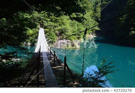 夢想的懸索橋（靜岡縣） 43720270