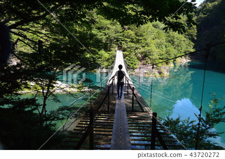 Suspension bridge of a dream (Shizuoka) Suspension bridge of a dream (Shizuoka) 43720272
