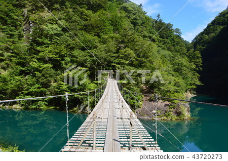 Suspension bridge of a dream (Shizuoka) Suspension bridge of a dream (Shizuoka) 43720273
