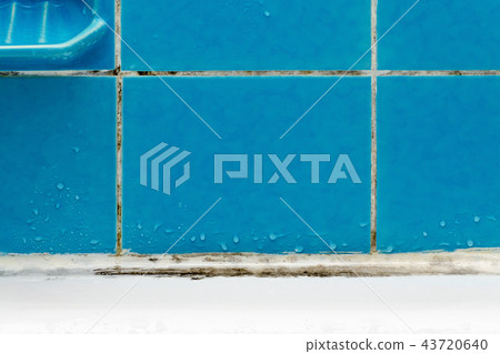 dirty bathroom with mold and water drops on blue tile closeup dirty bathroom with mold and water drops on blue tile closeup 43720640