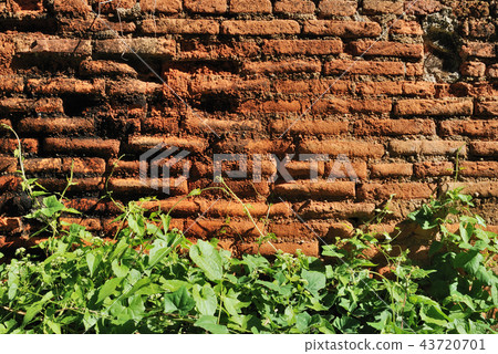 Old brick wall Old brick wall 43720701