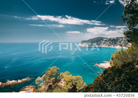 Tossa De Mar, Girona, Spain. Balearic Sea. Spring Spanish Nature Tossa De Mar, Girona, Spain. Balearic Sea. Spring Spanish Nature 43720856