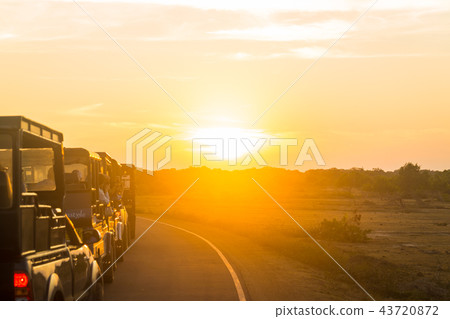Sunrise at car Safari 43720872