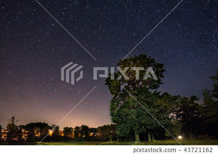 Milky Way Galaxy In Night Starry Sky Above Oak Tree In Summer Fo 43721162