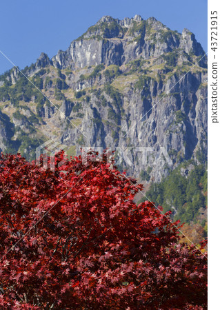 Sunny, autumn tin cane 43721915