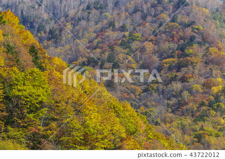 在Okuhida Onsenkyo的秋天 43722012