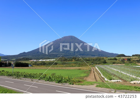 Mt. Yotei in late summer seen from Makkari village, light district 43722253