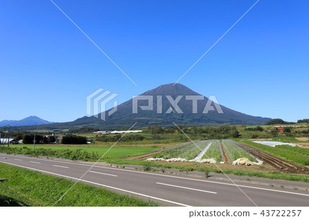 Mt. Yotei in late summer seen from Makkari village, light district Mt. Yotei in late summer seen from Makkari village, light district 43722257