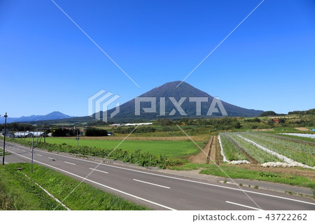 Mt. Yotei in late summer seen from Makkari village, light district 43722262