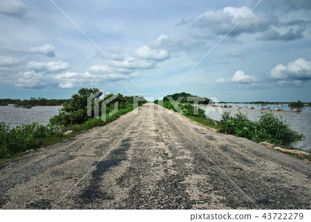 Old asphalt road leading through swamps Old asphalt road leading through swamps 43722279