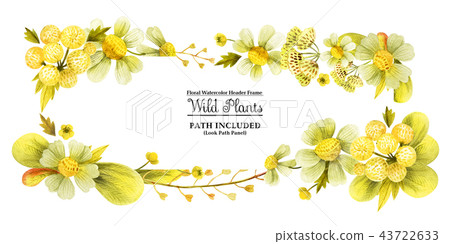 Yellow wild plants head banner 43722633