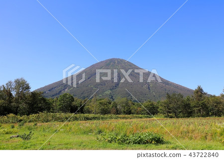 從Shinyo地區的Makari村看到的晚夏羊蹄山 43722840